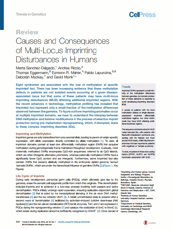 Sanchez-Delgado, Marta, et al. 'Causes and Consequences of Multi-Locus Imprinting Disturbances in Humans.' Trends in Genetics (2016).